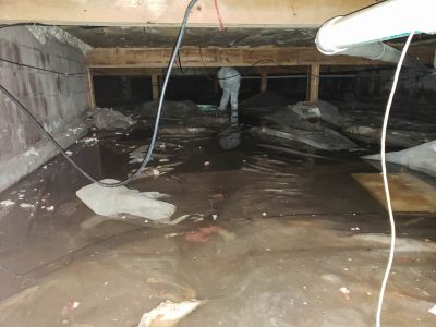 Flood Restoration Service in Mesa, AZ